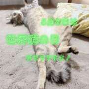ヒメ日記 2026/08/08 17:03 投稿 三玖 みちる Men's relaxation VEGA