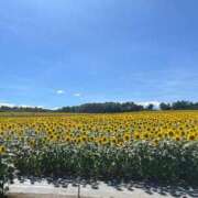 青空恵奈 ひまわり🌻 札幌ソフィア