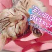 ヒメ日記 2026/10/10 01:49 投稿 KANA『カナ』 GG