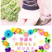 ヒメ日記 2026/07/07 16:13 投稿 ねね 熟女の風俗アウトレット都城店