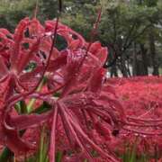 武田 涼 お久しぶりです♪ TOKYO五十路マダムin池袋（カサブランカグループ）