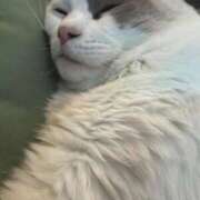 ヒメ日記 2026/08/02 12:48 投稿 はお a Relax -大人のリラクゼーションスパ-remember