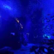 ヒメ日記 2026/08/17 12:08 投稿 りん a Relax -大人のリラクゼーションスパ-remember
