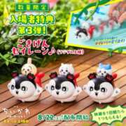 ヒメ日記 2026/08/23 17:21 投稿 りん a Relax -大人のリラクゼーションスパ-remember