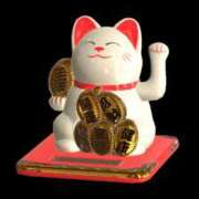 ヒメ日記 2026/07/09 07:09 投稿 あこ モアグループ丸妻厚木店