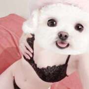 ヒメ日記 2026/08/24 14:21 投稿 まりか a Relax -大人のリラクゼーションスパ-remember