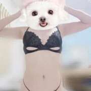 ヒメ日記 2026/08/27 08:58 投稿 まりか a Relax -大人のリラクゼーションスパ-remember