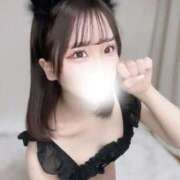 ヒメ日記 2026/09/15 19:25 投稿 そらね E+アイドルスクール新宿・歌舞伎町店