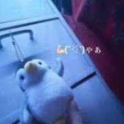 ヒメ日記 2026/09/12 11:31 投稿 りんか 新宿女学園