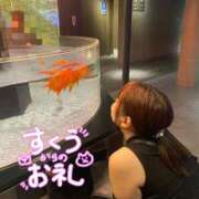 ヒメ日記 2026/10/23 03:30 投稿 すくう アラカルト