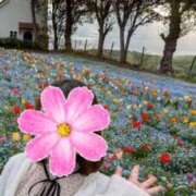 ヒメ日記 2026/07/10 12:51 投稿 村田こはね ウルトラプラチナム