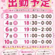 新井 ゆか ☆こんばんは☆ こあくまな熟女たち小倉店（KOAKUMAグループ）