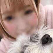 ヒメ日記 2026/08/14 11:12 投稿 エマ ドMな奥様 名古屋・錦店