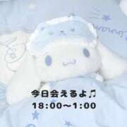 らむね 7月8日いるよ🐈‍⬛ ピンクコレクション尼崎店