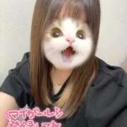 ヒメ日記 2026/08/12 12:52 投稿 真央(まお) PLUS東大阪店（高井田・長田）