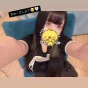 ヒメ日記 2026/08/22 06:29 投稿 戸川　ゆか OLセレクション宇都宮店