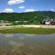 ヒメ日記 2026/10/18 19:00 投稿 大山えりん 洗体アカスリとHなスパのお店（埼玉ハレ系）