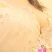 ヒメ日記 2026/08/01 16:20 投稿 あおい 琴音 こあくまな熟女たち 神戸西・明石店（KOAKUMAグループ）
