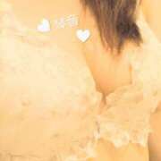 ヒメ日記 2026/07/30 11:08 投稿 あおい 琴音 こあくまな熟女たち 加古川店 (KOAKUMAグループ)