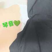 ヒメ日記 2026/08/20 09:14 投稿 あおい 琴音 こあくまな熟女たち 加古川店 (KOAKUMAグループ)