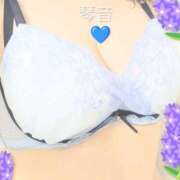 ヒメ日記 2026/08/24 11:09 投稿 あおい 琴音 こあくまな熟女たち 加古川店 (KOAKUMAグループ)