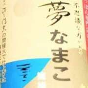 ヒメ日記 2026/09/07 14:35 投稿 あおい 琴音 こあくまな熟女たち 加古川店 (KOAKUMAグループ)