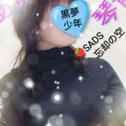 ヒメ日記 2026/10/01 13:46 投稿 あおい 琴音 こあくまな熟女たち 加古川店 (KOAKUMAグループ)