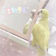 ヒメ日記 2026/07/06 22:36 投稿 まろ 裏垢女子寮