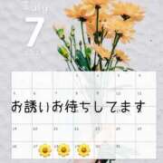 ヒメ日記 2026/07/24 11:32 投稿 新海みら コウテイ