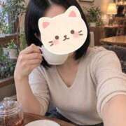翠（すい） 紅茶派です☕️ そらいろ