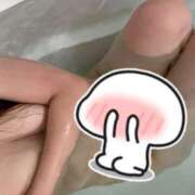 ヒメ日記 2026/09/20 11:57 投稿 ルラ 兵庫加東小野ちゃんこ
