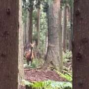 ヒメ日記 2026/09/21 15:57 投稿 のぞみ Sweet～スウィート～