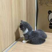 ヒメ日記 2026/09/30 18:35 投稿 ましろ アート姫