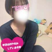 ヒメ日記 2026/08/13 21:03 投稿 いのり 丸妻 新横浜店