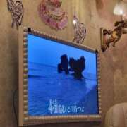 ヒメ日記 2026/09/12 10:38 投稿 ほたる マダム可憐