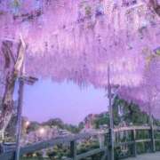 ヒメ日記 2026/07/15 13:48 投稿 かなえ 東京妻