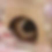 ヒメ日記 2026/07/09 16:12 投稿 ゆみか 神田ハンドメイド