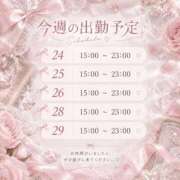 ヒメ日記 2026/09/23 14:38 投稿 みらい 横浜ひよこ倶楽部