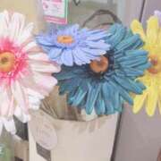 ヒメ日記 2026/08/24 06:30 投稿 梨乃(りの) 厚木奥様Life