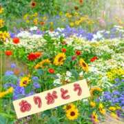 梨乃(りの) 本日のありがとう 厚木奥様Life