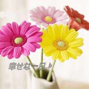 ヒメ日記 2026/09/27 17:01 投稿 梨乃(りの) 厚木奥様Life