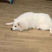ヒメ日記 2026/08/03 12:37 投稿 のどか ぷるるん小町日本橋店