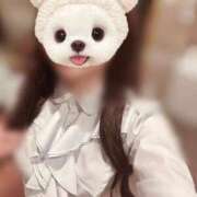 ヒメ日記 2026/07/20 09:00 投稿 アオイ PALCO