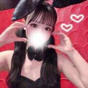 ヒメ日記 2026/07/20 10:03 投稿 ウサ バニーコレクション千葉栄町店
