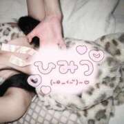 ヒメ日記 2026/07/30 19:20 投稿 しゅり LEVEL1