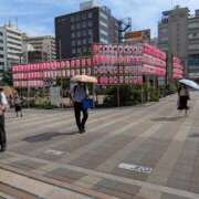 ヒメ日記 2026/08/28 13:48 投稿 朝倉（あさくら） あさがお
