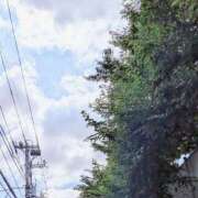 ヒメ日記 2026/07/08 17:07 投稿 岡本なつみ セクシーキャット 神田店