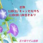 ヒメ日記 2026/07/10 08:44 投稿 岩瀬みゆ 五十路マダムエクスプレス船橋店(カサブランカグループ)