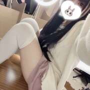 ヒメ日記 2026/07/09 14:20 投稿 ヒナノ 姫路ラビット
