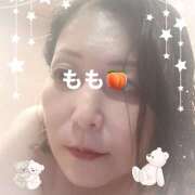 ヒメ日記 2026/07/27 09:05 投稿 もも 大久保駅前人妻横丁